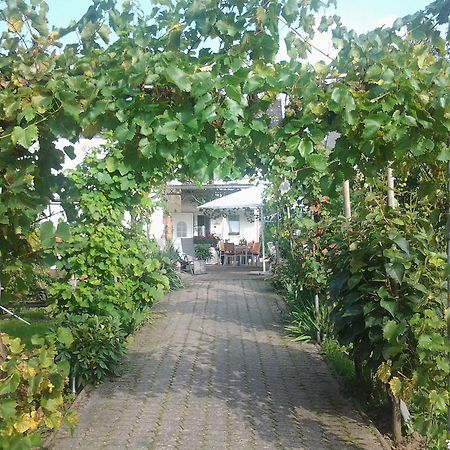 Apartamento Ferienweingut Arnold Thiesen Bruttig-Fankel Exterior foto